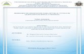 SEMINARIO DE GRADUACION PARA OPTAR AL TITULO DE …repositorio.unan.edu.ni/4993/1/17984.pdf · 4.2.5 En los 90’s ... Caracterizar las gestiones bancarias en Nicaragua desde el origen