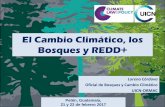 El Cambio Climático, los Bosques y REDD+ - Ministerio de … · 2017-02-24 · Adaptación al Cambio climático ¿Qué es la adaptación al cambio climático? Debido a que el clima