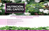NUTRICIÓN DEL CAFETOscanprogram.org/wp-content/uploads/2012/08/BPA-6... · explica las funciones de los elementos secundarios, haciendo el mismo ejercicio que hicieron los subgrupos
