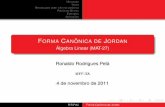 ORMA CANONICA DE ˆ JORDAN Ronaldo Rodrigues …rrpela/downloads/MAT27-2011-Aula-Jordan.pdfMotivac¸˜ao Teoria Metodo para obter a forma can´ onicaˆ Polinomio Mˆ ´ınimo Exemplos