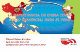 Escobar General Comercio Peruano Chinacapechi.org.pe/pdfs/_090709_Camara_Alemana_Automechanika.pdf · beijing, shanghai, ... 139 8701200000 tractores de carretera para semirremolques