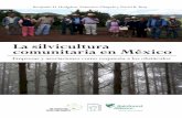 La silvicultura comunitaria en México · que la silvicultura comunitaria mexicana florezca aún más. • En este reporte se presenta el caso de la silvicultura comunitaria de México,