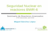 Seguridad Nuclear en reactores BWR-6...El espectro de roturas abarca desde roturas de tubing de instrumentación hasta roturas de líneas de vapor principal (>2000 cm2) o de líneas