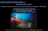 Ecosistemes marins - canvi-climatic.espais.iec.cat · Ecosistemes marins Rafel Sim ... •Recerca en els mecanismes i processos a través dels quals el canvi climàtic actua sobre
