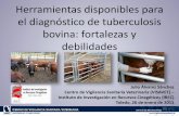 Herramientas disponibles para el diagnóstico de ... · •Detección de interferón-gamma (PPD aviar y PPD bovina). ... DIAGNÓSTICO DE TBC BOVINA IN VIVO EN ESPAÑA • Precisión