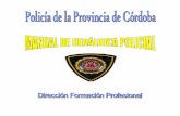 MANUAL DE HERÁLDICA POLICIAL · La institución policial, como integrante del Sistema Provincial de Seguridad Pública, no puede quedar aislada de la organización y por consiguiente