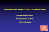 VACUNAS PARA STREPTOCOCCUS PNEUMONIAE...Vigilancia epidemiológica de Streptococcus pneumoniae 1994-2009 1 4 5 1 6 B 7 F 9 V 2 3 F 1 9 F 1 A 8 C A 9 N Nt 1 2 3 1 6 F 4 5 B Otros Serotipos