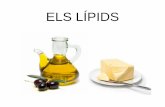 ELS LÍPIDS - No-IPcosmolinux.no-ip.org/recursos_aula/BIO1erBAT/Les_molecules_de_la_vida/... · Els lípids sense àcids grassos o insaponificables. • No presenten àcids grassos.