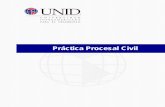 Práctica Procesal Civil - UNID · nuevo examen, el cual puede ser total o parcial y una nueva decisión acerca de una resolución judicial. PRÁCTICA PROCESAL CIVIL 2 Introducción