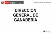 DIRECCIÓN GENERAL DE GANADERÍA · 2018-02-12 · Se viene articulando junto con la provincia de Lampa – Puno. Se lanzó el primer Centro Piloto de Desarrollo de la Cadena de Valor