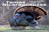 Revista de Nicaragüenses · 2019-02-27 · la misma especie que el pavo doméstico, que originalmente se derivó de una subespecie de pavo silvestre del sur de México (no el pavo