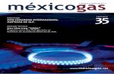 La Revista de la Industria del Gas L.P. en México - año 06 // núm 35mexicogas.net/revistaspdf/revista35.pdf · 2015-01-29 · Fue comisionado a la WLPGA por Repsol en España,