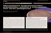 Mycoplasma hyopneumoniae prevención, control e interacción ... · pertenece a la clase . de los mollicutes (micoplasmas) y se en-cuentra entre las bacterias autorreplican-tes más