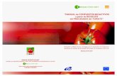 “MANUAL de COMPUESTOS BIOACTIVOS a partir de RESIDUOS …nutriciondebovinos.com.ar/MD_upload/nutriciondebovinos... · 2016-01-14 · de licopeno biodisponible en la pasta de tomate