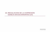 16. Regulacion de la Expresion Genica en eucariontes (IV)ocw.usal.es/ciencias-biosanitarias/bioquimica-biosintesis-de-macromoleculas/contenidos...Regulación de la expresiñon génica