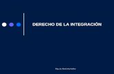 DERECHO DE LA INTEGRACIÓNdatadipuy.com/wp-content/uploads/2014/06/PRESENTAC... · definiciÓn y caracteristicas rama del derecho internacional pÚblico conjunto de normas jurÍdicas