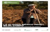 La Alianza México REDD+ en el Campo...en que trabajamos. México apuesta hacia el desarrollo rural sustentable La diversidad de ecosistemas de México y la multiplicidad de usos que