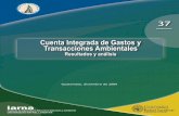 Cuenta Integrada de Gastos y Transacciones Ambientalesbiblio3.url.edu.gt/publiclg/IARNA/coediciones/37.pdf · v Banco de Guatemala e Instituto de Agricultura, Recursos Naturales y