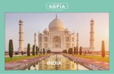 INDIA - Los viajes de Sofía · HOTELES PREVISTOS O SIMILARES DE 4**** INDIA (Alojamiento y Desayuno) Delhi - Holiday Inn Mayur Vihar Jaipur - Park Regis Agra - Mansingh Varanasi