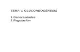 TEMA V. GLUCONEOGÉNESIS 1.Generalidades 2.Regulacióndepa.fquim.unam.mx/amyd/archivero/Gluconeogenesis_35280.pdf · 2018-09-29 · la glucÓlisis y la gluconeogÉnesis no son rutas