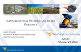 ARACTERÍSTICAS PETROFÍSICAS DE LOS ESQUISTOSunconventionalenergyresources.com/infuse/PDF-Spanish... · 2016-04-06 · C. ARATERISTICAS. C. LAVESDEL. R. ESERVORIO. Porosidad. Permeabilidad.