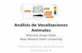 Programas de Analisis de vocalizacionesmarceloarayasalas.weebly.com/uploads/2/5/5/2/25524573/7...Desventajas: • Manipulación de imágenes • Calidad baja de los espectrogramas