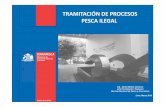 TRAMITACIÓN DE PROCESOS PESCA ILEGALcpps.dyndns.info/cpps-docs-web/dircient/2016/taller-indnr... · 2016-04-15 · resumen solicitudes de acceso a puerto clasificados por paÍs.