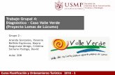 Trabajo Grupal 4: Diagnóstico Caso Valle Verde (Proyecto Lomas … · 2018-09-12 · Introducción Con este diagnóstico buscamos medir y describir la realidad resultante del proyecto