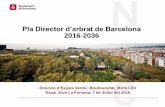 Pla Director d’arbrat de Barcelona 2016-2036 · Acció 2.4. Revisar els criteris de planificació i disseny de la plantació d’arres en projectes urbans Acció 2.5. Vetllar perquè