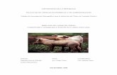Mercado de la carne de cerdo - 15.12.09 - GGG, AM · 2014-11-24 · Mercado de carne de cerdo. Competitividad y estrategia para el desarrollo de la cadena cárnica suina. Página