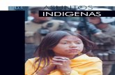 BOLIVIA - SISTEMA JURIDICO INDIGENA INDIGENAS ... · los Derechos de los Pueblos Indígenas que respon-da a las demandas y necesidades de los pueblos indígenas parece todavía muy
