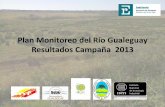 Plan Monitoreo del Río Gualeguay Resultados Campaña 2013 · 2016-11-25 · 1. DBO • //La determinación de este parámetro está relacionada con la medición del oxígeno disuelto
