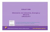 DINAPYME Ministerio de Industria, Energía y Minería URUGUAY · 2019-09-18 · DINAPYME Ministerio de Industria, Energía y Minería URUGUAY La Nueva Geografía Industrial Latinoamericana