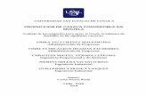 Producción de casaca convertible en mochilarepositorio.usil.edu.pe/bitstream/USIL/8657/1/2018_Chavez-Malpartida.pdf · 1.1 Nombre de la Empresa, Horizonte de evaluación ... 5.2.1