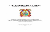 UNIVERSIDAD ANDINAinvestigacion.uancv.edu.pe/web/wp-content/uploads/2019/06/ManualG.pdf · Universidad Andina “Néstor Cáceres Velásquez” establece los trabajos de investigación