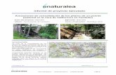 Informe de proyecto ejecutado - Naturalea · Actuaciones de consolidación de los pilares de un puente peatonal en la riera de Vallforners en Cardedeu 5 de 9 Vista de la rampa durante