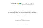 Constructo Teórico basado en las experiencias académicas ...biblioteca2.ucab.edu.ve/anexos/biblioteca/marc/texto/AAT4132.pdf · rendimiento académico de los estudiantes de la carrera