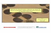 Manual de Recolección y Manejo de Polen de Pinos ...iiap.org.pe/Upload/Publicacion/PUBL488.pdfy manejo de polen para especies forestales relativamente nueva. El interés en estos