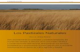 Los Pastizales Naturales - argentinambiental.comargentinambiental.com/wp-content/uploads/pdf/AA57-12-Pastizales_Naturales.pdfLos Pastizales Naturales Sólo recientemente los pastizales
