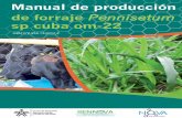 sp cuba om-22 - Sena...Pennisetum sp. Cuba om-22 y la relación suelo-planta para así poder obtener las mayores producciones de biomasa por área en las mejores condiciones de manejo
