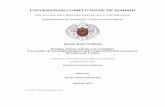 UNIVERSIDAD COMPLUTENSE DE MADRIDeprints.ucm.es/20058/1/T34325.pdf · 2014-02-07 · del equipo de investigación del departamento de Teoría sociológica de la UCM “Sociología