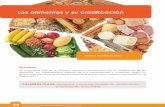 Los alimentos y su clasificación - Aliat Universidades · 2019-03-27 · 24 Verónica María López Pérez. RESUMEN PALABRAS CLAVE: Alimentos, funciones biológicas, clasificación,
