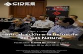 Curso Internacional Introducción a la Industria del …Curso Internacional Introducción a la Industria del Gas Natural Facilitador: Daniel Brudnick (Argentina) Santiago, 28 de Mayo