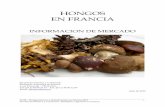 HONGOS EN FRANCIA - ExportaPyMEsexportapymes.com/documentos/productos/RA5855_francia_hongos.pdfPerfil – Hongos frescos y deshidratados en Francia 2010 Sección Económica y Comercial