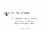 PLANTAS TOXICAS - PediatrasElche's Blog · 2013-12-24 · M. Valdivia I. - Toxicología PLANTAS TOXICAS Dra. Melinda M. Valdivia Infantas Internista – Toxicóloga Hospital Arzobispo