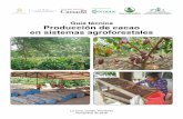 Guía técnica Producción de cacao en sistemas agroforestales · 2.11. Costos de producción ... (Ilex tectonica) y granadillo rojo (Dalbergia glomerata) ... no muy profundas, para
