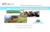 Informe Final de Consultoría-Extension-agricola-Honduras.pdfInforme Final de Consultoría Consultor: Carlos Roberto Ardón Tegucigalpa, enero de 2014 ... UNAH Universidad Nacional