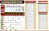Guía ˜tosanitaria del cultivo de Páprika · 2018-07-16 · enfermedades foliares y de frutos, como oidium y royas en cultivos como páprika, espárrago, uva y otros. En proceso