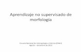 Aprendizaje no supervisado de morfología - UNAM...Planteamiento del problema 7 Lingüística computacional •Métodos basados en reglas elaboradas por el investigador •Morfología