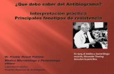 Interpretación práctica del antibiograma. Principales fenotipos … · 2014-10-21 · ¿Que debo saber del Antibiograma? Interpretación práctica Principales fenotipos de resistencia